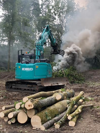 Working in the forest with the help of the machine
